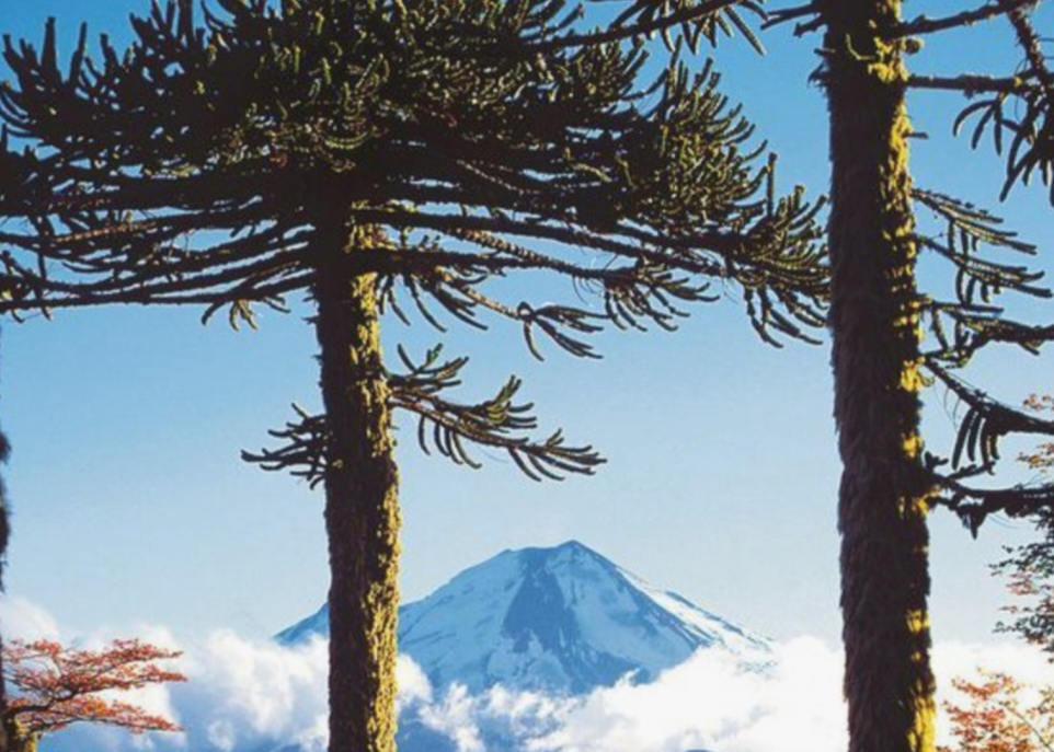Lago Volcan Pucon 4